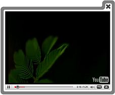 Embeding Video Website Video Lightbox