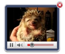 Streaming Videos Other Than Youtube Youtube Video On Lightbox Jquery