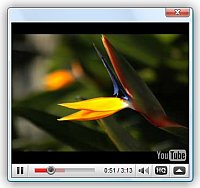 Video Players Open A Video In A Lightbox